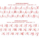 Adinda Sayang Font Poster 12
