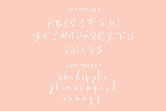 Admara Font Poster 2