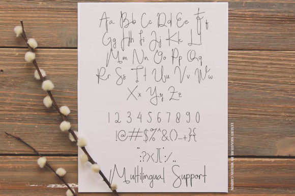 Adolf William Font Poster 4