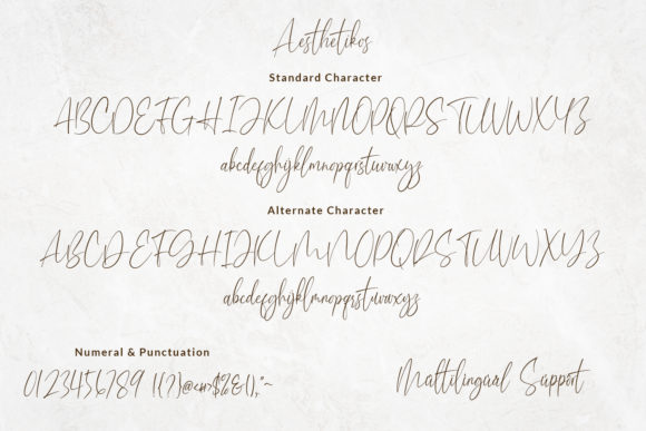 Aesthetikos Font Poster 6