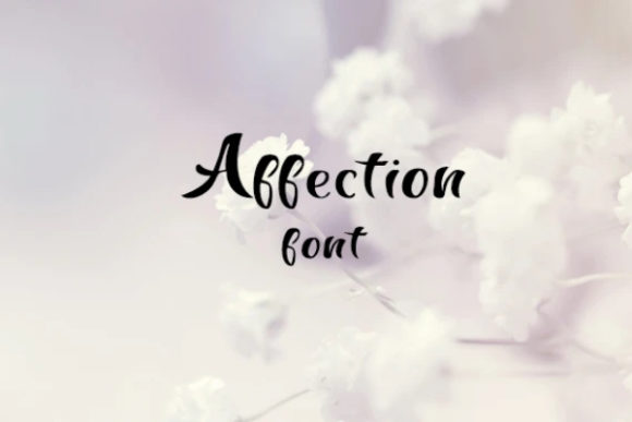 Affection Font Poster 1