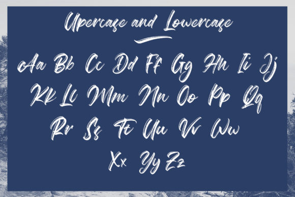 Agathias Font Poster 8