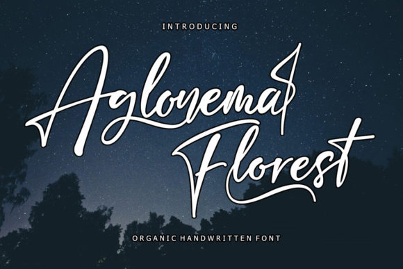 Aglonema Florest Font Poster 1