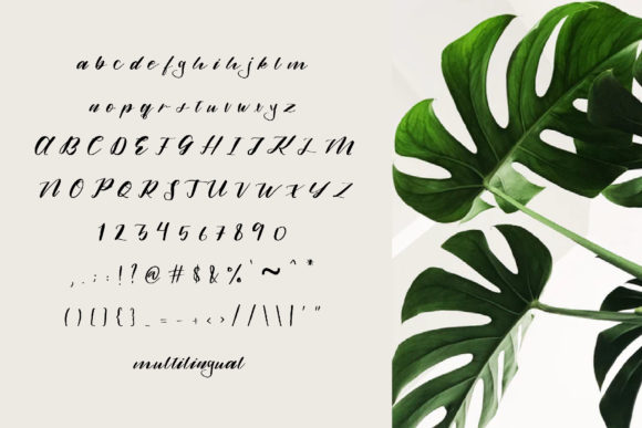 Alamanda Font Poster 5