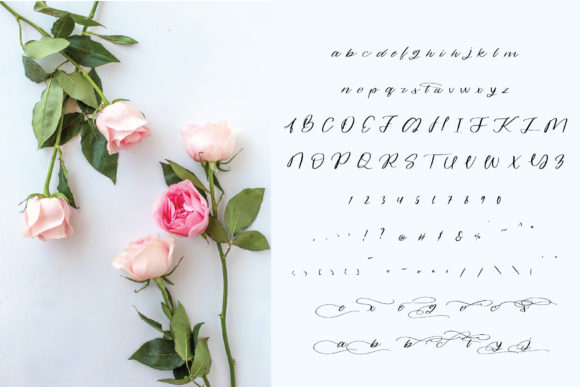 Alandria Font Poster 3