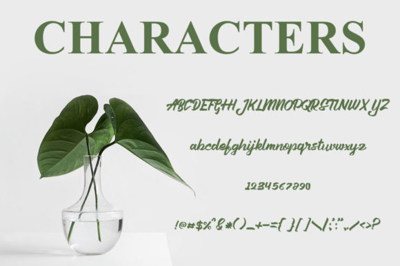 Aleena Font Poster 4