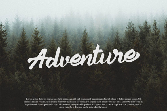 Aleena Font Poster 5