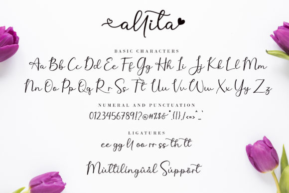 Allita Font Poster 11