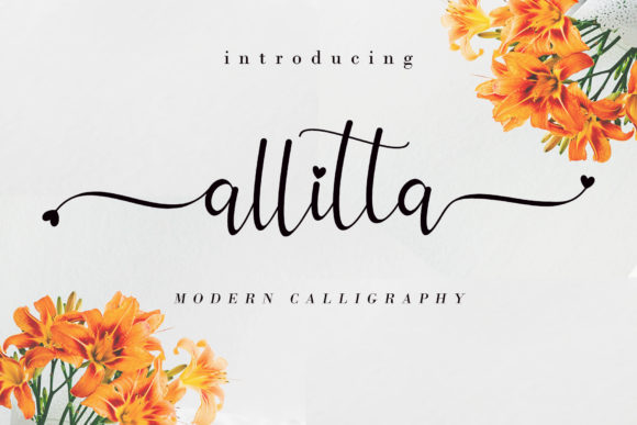 Allitta Font