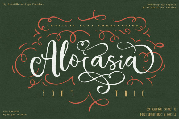 Alocasia Font Poster 1