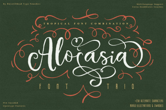 Alocasia Font