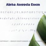 Alpha Anggela Font Poster 8