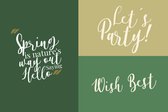 Alyssa Calligraphy Font Poster 3