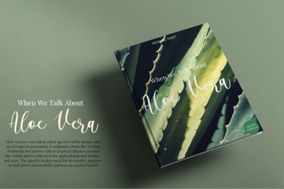 Alyssa Calligraphy Font Poster 7
