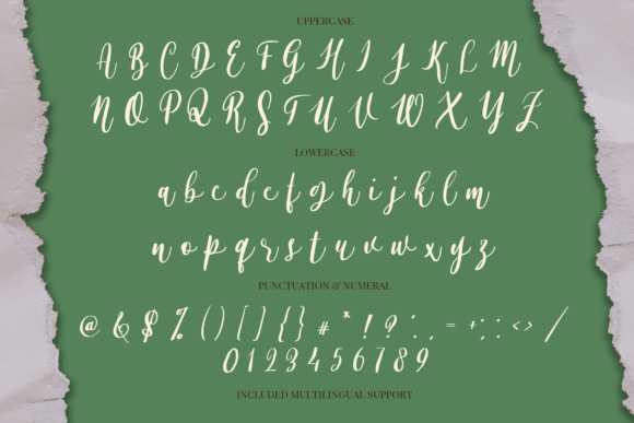 Alyssa Calligraphy Font Poster 8