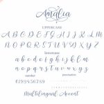 Amalia Font Poster 6