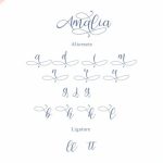 Amalia Font Poster 7