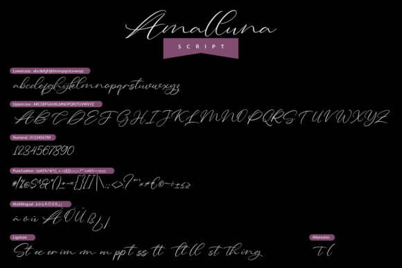 Amalluna Font Poster 5