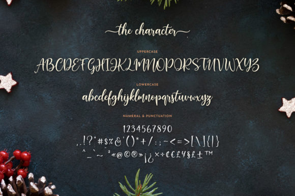 Amberly Font Poster 6