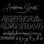 Amboera Script Font Poster 7
