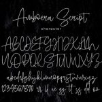 Amboera Script Font Poster 7