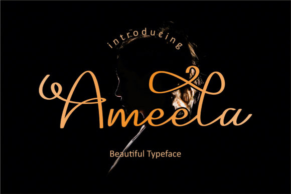 Ameela Font Poster 1