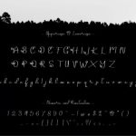 Ameela Font Poster 10