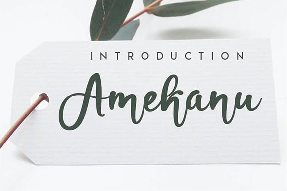 Amekanu Font