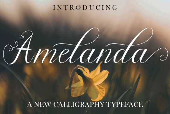 Amelanda Font Poster 1