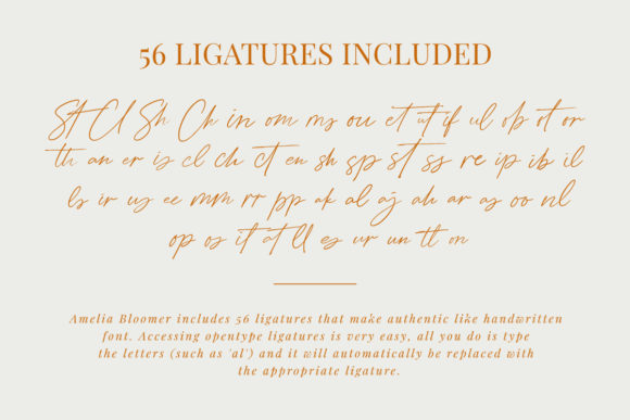 Amelia Bloomer Font Poster 8