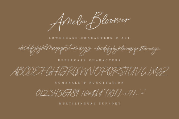 Amelia Bloomer Font Poster 9