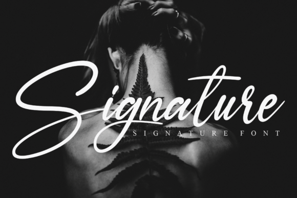 Ameyallinda Signature Font Poster 4