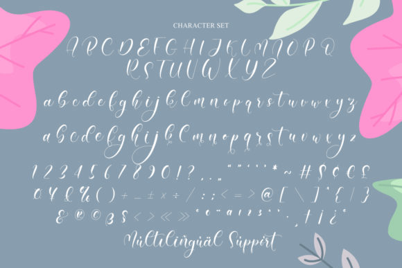 Amiela Font Poster 3