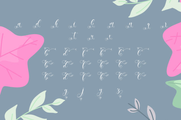 Amiela Font Poster 5