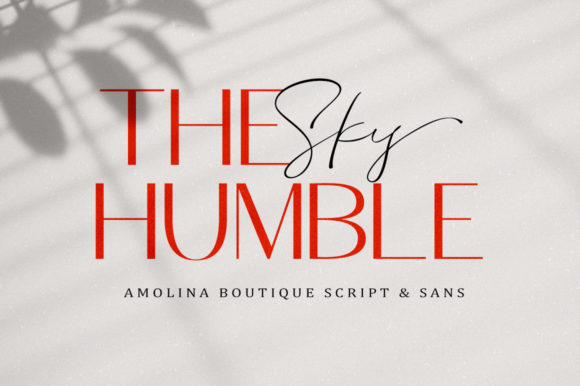 Amolina Boutique Font Poster 2