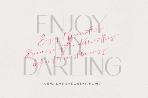 Amolina Boutique Font Poster 6