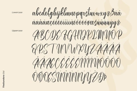 Amstallova Font Poster 14