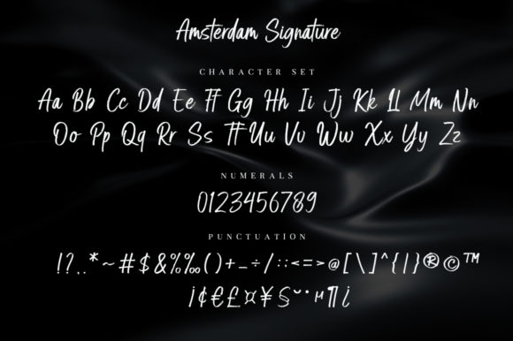 Amsterdam Signature Font Poster 10
