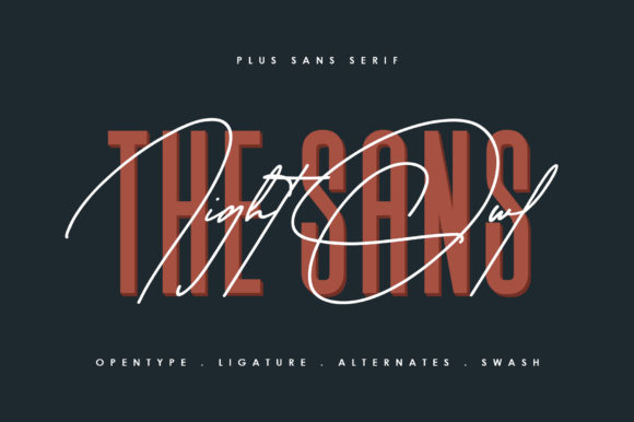 Amstonia Signature Font Poster 3