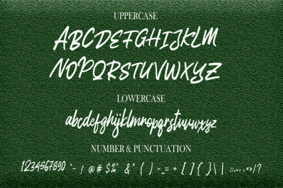 Anatomi Font Poster 10
