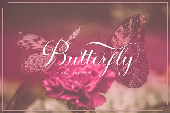 Anaya Font Poster 3