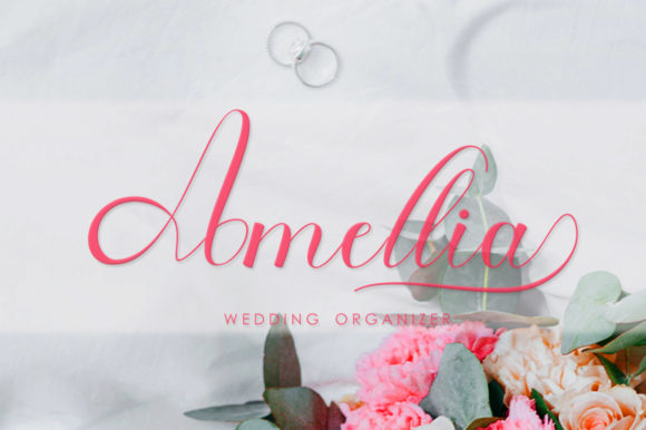 Anaya Font Poster 4