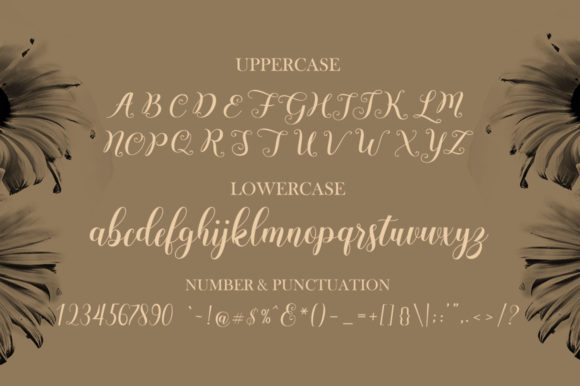Andesia Font Poster 9
