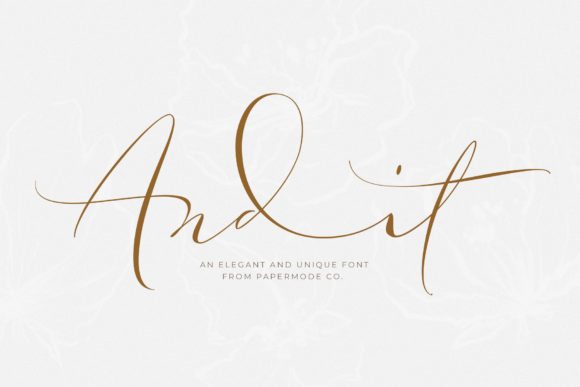 Andit Font Poster 1