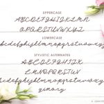 Angel Rose Font Poster 5