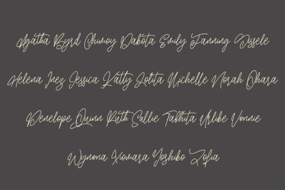 Angellica Font Poster 8