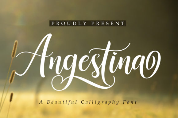 Angestina Font Poster 1