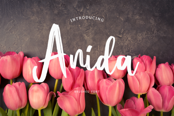 Anida Font Poster 2