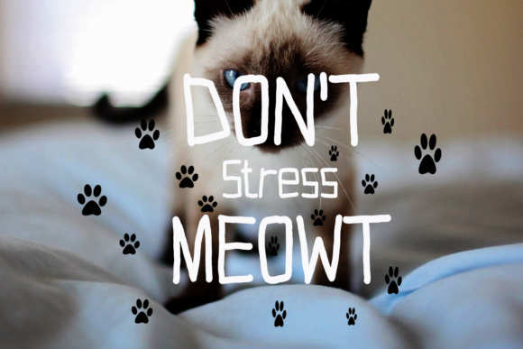 Animal Cute Font Poster 4