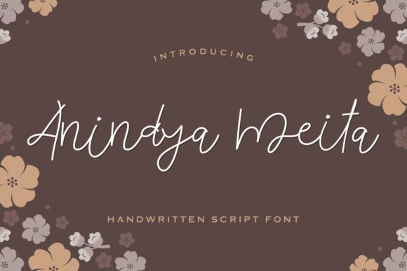 Anindya Meita Font Poster 1